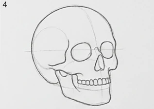 Step 4 of 12: The nasal opening