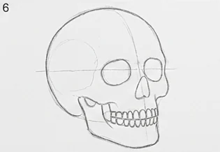 Step 6 of 12: Find the jaw hinge