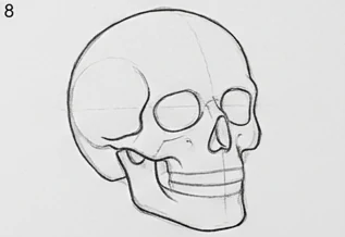 Step 8 of 12: Divide the teeth